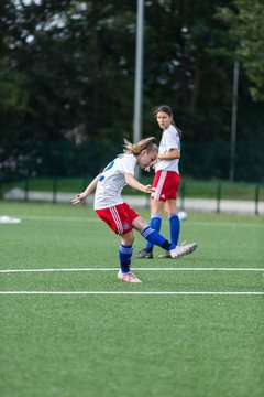 Bild 46 - C-Juniorinnen HSV - Walddoerfer : Ergebnis: 9:1